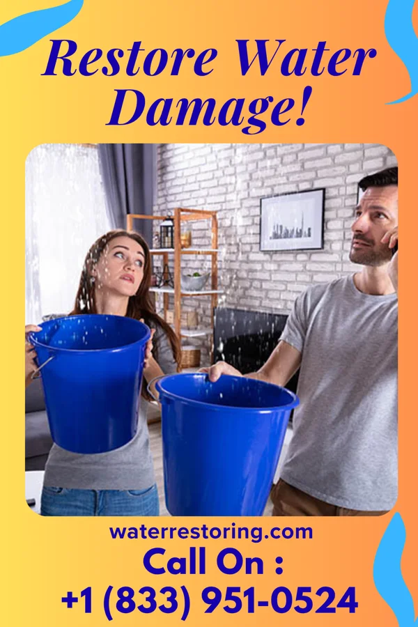 water restoration Reliable Extraction & Associates Fulton