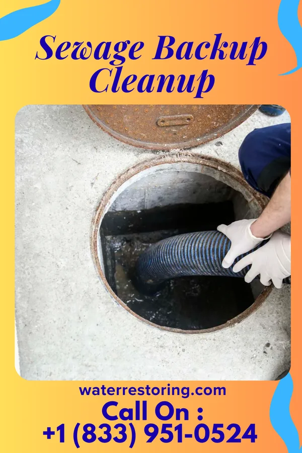 Sewage Backup Cleanup in Fulton, SD